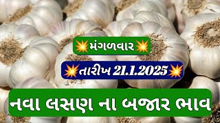 ગોંડલ માર્કેટ યાર્ડ લસણ ના બજાર ભાવ લાઈવ / નવા લસણ ના બજાર ભાવ / લસણ ના બજાર ભાવ / 21.1.2025