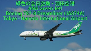 緑色の全日空機・羽田空港 ANA Green Jet! Boeing 787-8 Dreamliner (JA874A) Tokyo - Haneda International Airport