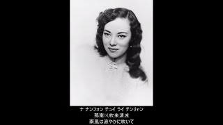 【中国語】夜来香 (日本語字幕)