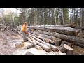 husqvarna 272 xp cutting firewood