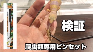 爬虫類専用ピンセット使ってみた