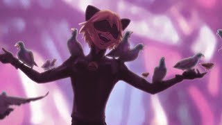 Isn't Chat Noir Allergic to Feathers? (Miraculous Ladybug)