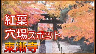 【東漸寺】関東の紅葉穴場スポット