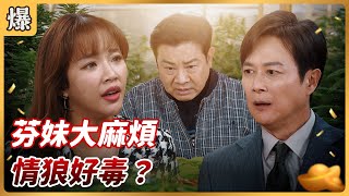 《八點檔搶先爆》好運來 EP44 芬妹大麻煩 情狼好毒？