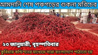 ২৩ বৃহস্পতিবার।আমদানি খুব কম শেষ হতে যাচ্ছ পঞ্চগড়ের শুকনা মরিচের পাইকারি বাজার দাম জানুন আজকের