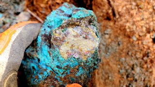 Magnificent Chalcopyrite In Waste Rock Pile!