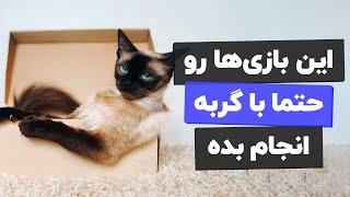 😺🤪بازی های جذاب گربه ای برای سرکیف آوردن پیشی جان