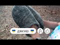 Тепло та зручно Як приклеїти підошву👣 до валяних тапок з овечої вовни 🐑 в домашніх умовах