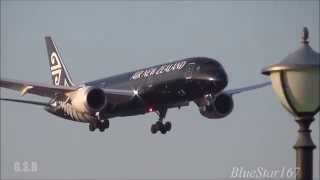 Air New Zealand - Fight Song