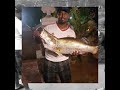 12kg barramundi  in Goa (lure storm seabass 14cm)