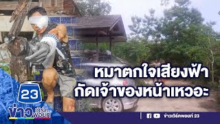 หมาบางแก้วกลัวฟ้าร้อง กัดเจ้าของหน้าเหวอะสาหัส | ข่าวเวิร์คพอยท์  17 เม.ย. 64