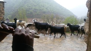 شمشاڵی خۆم لە ئاوای سلێن(هەورامان)Playing Shmshal music in the village