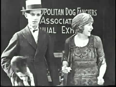 The Lucky Dog Laurel Hardy Youtube