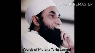 Voice of Feeling !  உணர்வுகளின்  குரல் ! Molana  Tariq Jameel in Tamil