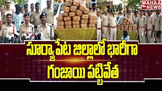 సూర్యాపేట జిల్లాలో భారీగా గంజాయి పట్టివేత | Massive Ganja Crackdown In Suryapet District| Mahaa News