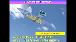 サーボ駆動チョウゲンボウ型羽ばたき機 49g SFOrnithopterKestrel104 Bluearrow D0576HT-HV servo 8th Flight test in  Wind