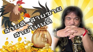 แชร์ประสบการณ์ สายตี-สายขายสายไหน ดี