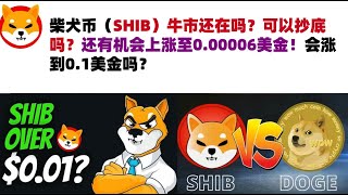 柴犬币（SHIB）牛市还在吗？可以抄底吗？还有机会上涨至0.00006美金！会涨到0.1美金吗？#shib币#柴犬币#屎币行情分析