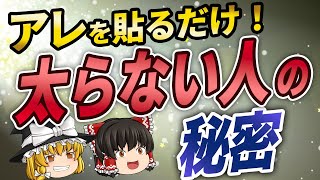 【40代50代】痩せたい人は見ろ！カイロを貼るだけで基礎代謝が爆上がりして脂肪が燃焼する方法【ゆっくり解説】