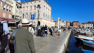 Rovinj (Istria, Croatia): A Walk Around the Old Town With a Dog I April 2024 I 4K