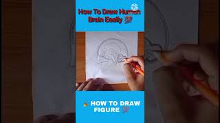How To Draw Human Brain | #shorts | How To Draw Human Brain Easily | Artist&Kalakar