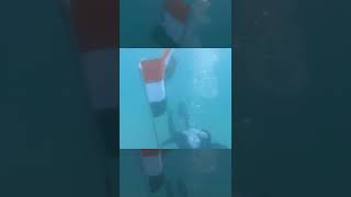 India Coast Guard hoists the National Flag underwater on 76th Independence day | #shorts