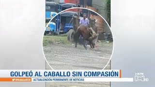 Rescatan a un caballo que era maltratado en Soledad, Atlántico