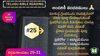 #25 Telugu Bible Reading: Exodus 29-31 | బైబిలు గ్రంథ పఠనం: నిర్గమకాండము 29-31