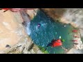 raghez valley darab iran. kazerun canyoning team