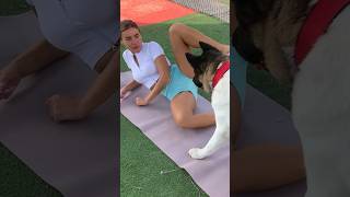 Funny Dog Comedic Workout! #girl #trending #funny #dog #fitness #doglover #funnyshorts