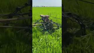 Efficient Harvesting: Paddy Field Cutter at Work!