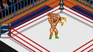 【GBA】ファイプロ Fire Pro Wrestling 2 The Ultimate Warrior vs Hulk Hogan