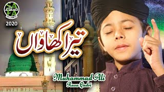 New Naat 2020 - Muhammad Ali Raza Qadri - Tera Khawan - Official Video - Safa Islamic