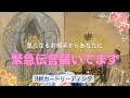 【目に留まったあなた様必見🥺📮】お相手からあなたに緊急伝言届きました♪❤️‍🔥🥳