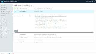 VMware Data Services Manager 9.1 - Microsoft SQL Server Point-in-Time Recovery