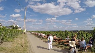 Hochheim Winefest 2016 Travel Rheingau Germany