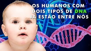 O que são as Quimeras humanas?