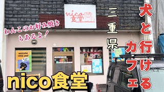 【犬と行けるカフェ】最高に落ち着ける！三重県nico食堂でお友達と会いました〜車中泊の旅〜 #フレンチブルドッグ #シーズー