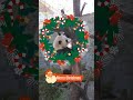 merry christmas 楓たんクリスマス🎄🎅🎁 パンダ楓浜🐼 shorts