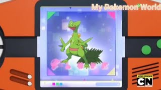 Sceptile Pokedex Entry Pokemon xy