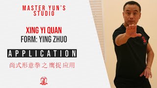 Applications with Master Yun | Shang Style Xing Yi Quan - Ying Zhuo