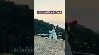 Wudang Kung Fu Fan-4