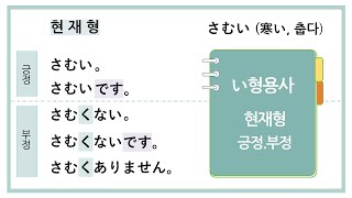 [기초일본어] い형용사문의 현재형,  긍정, 부정 이해하기