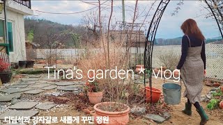 정원.일상vlog/정원바닥 예쁘게 재정비/만두만들고.식혜만드는 일상~