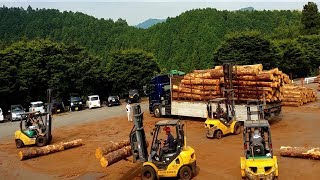 木材選別 フォークリフトによるトラック積み込み【内子町森林組合 小田原木市場】