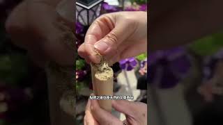 用它，蚊子全跑光！免費試用，驅蚊無毒！