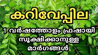 കറിവേപ്പില ഒരു വർഷത്തോളം ഫ്രഷായി തന്നെ സൂക്ഷിക്കാനുള്ള മാർഗങ്ങൾ/Curry leaves storing/Jaaniyas Vlogs