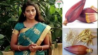 வாழைப்பூ எந்த நோய்க்கு எப்படி பயன்படுத்தனும்? Banana flower benefits in tamil/ Vazhaipoo benefits