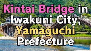 Kintai Bridge in Iwakuni City Yamaguchi Prefecture: A Japanese treasure of wooden beauty and history