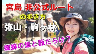 宮島・厳島【弥山】【駒ヶ林】非公式ルート。多宝塔コースと尾根コースの紹介です。